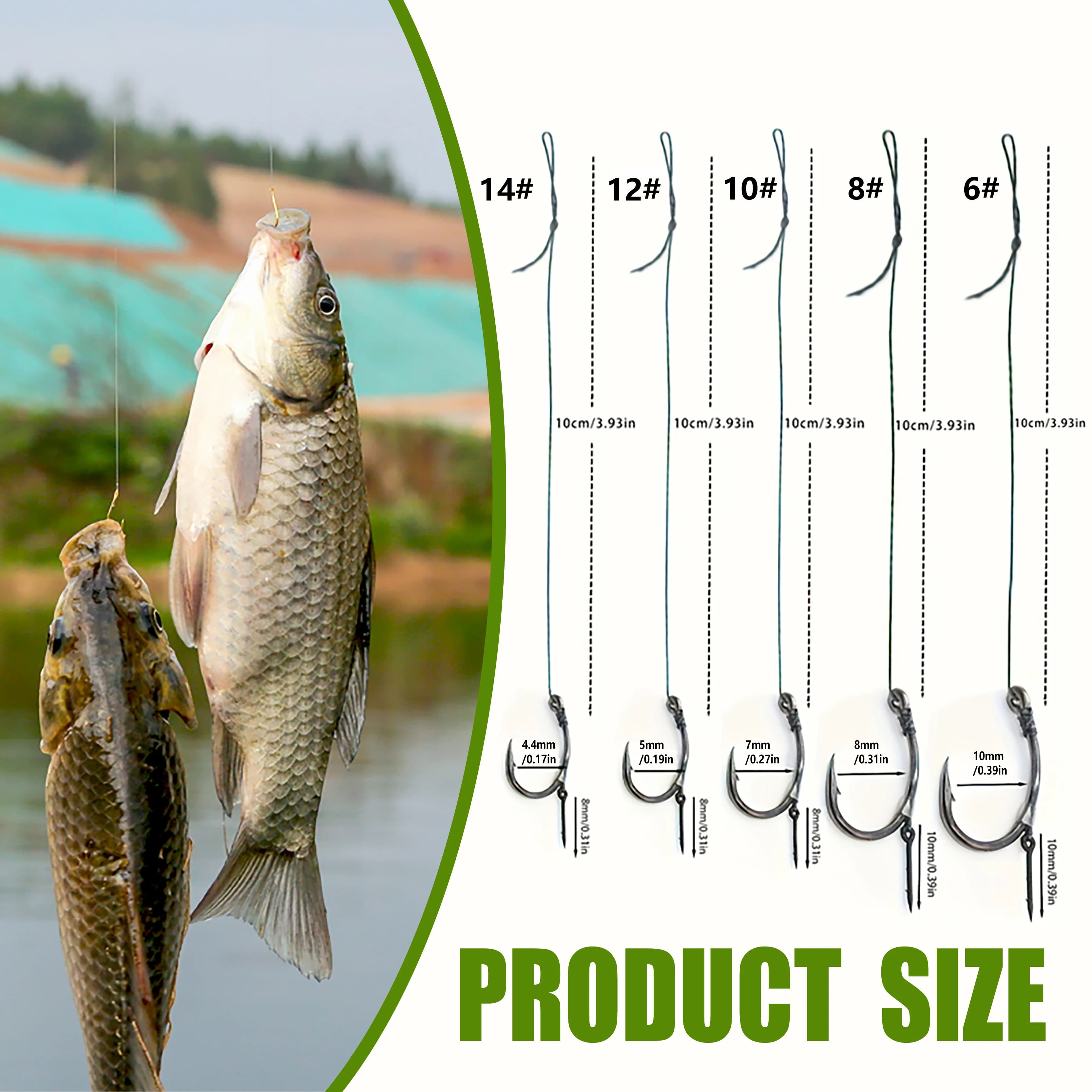 Montages prêts à pêcher pour carpes et carassins - Méthode feeder et hair rigs avec ligne tressée et hameçons barbelés
