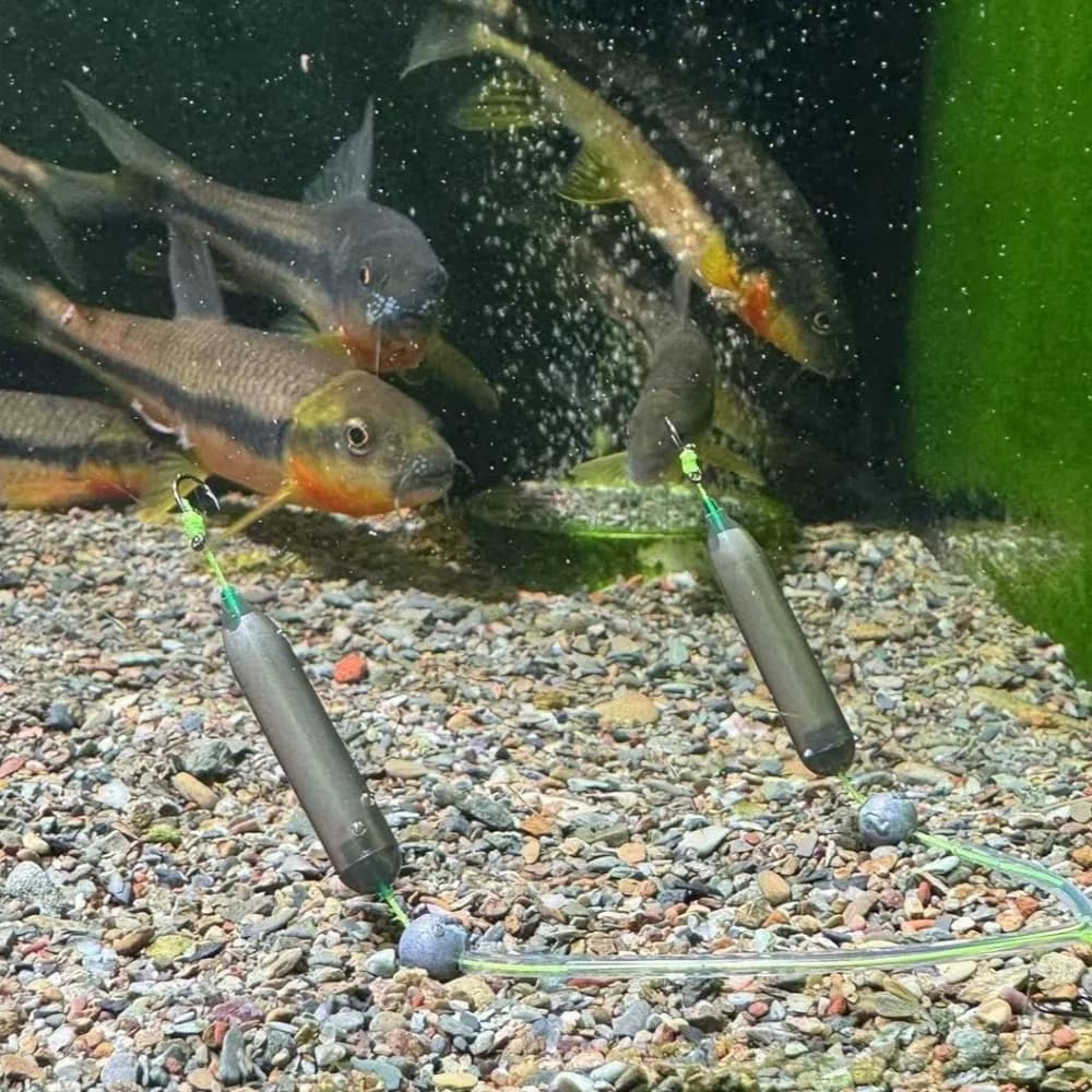 Montage carp ready-to-use 3 hacks Iseni avec hameçons barbelés tailles 4#-11# pour pêche à la bouillette