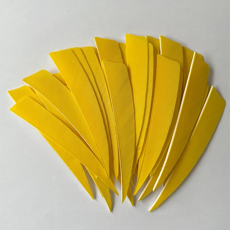 50 plumes naturelles dinde pour flèches chasse - Empenneuses RW pour accessoires arc pêche