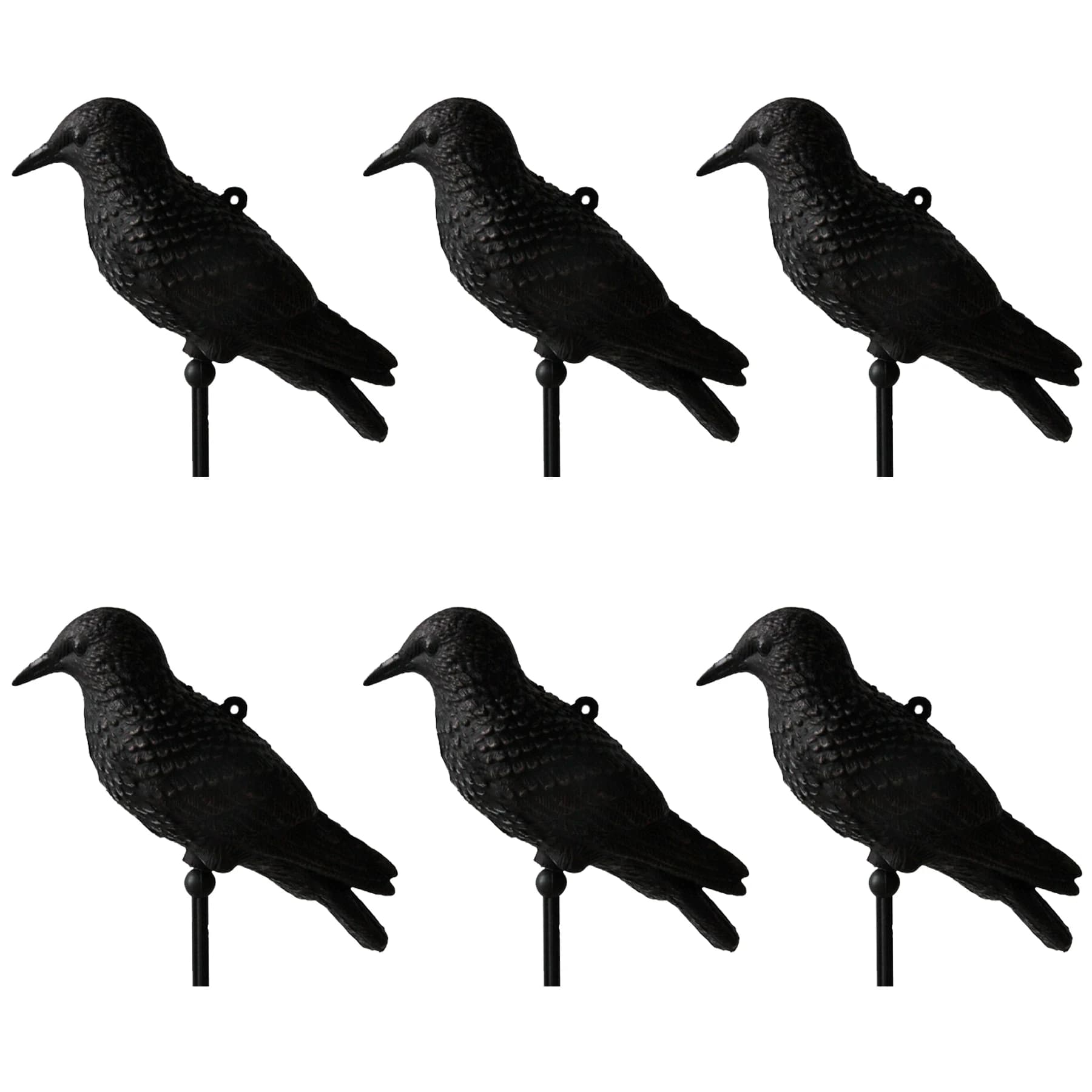 Leurres étourneaux chasse GUGULUZA 3D oiseaux plastique sans ailes réalistes accessoires extérieur
