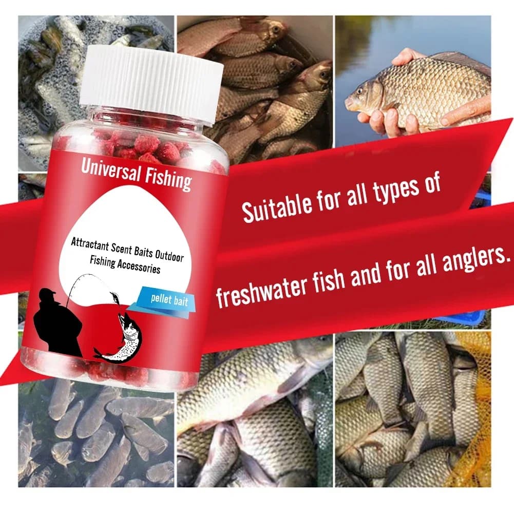 Appât granulé humide haute protéine pour pêche - concentré attractant universel odeur poisson