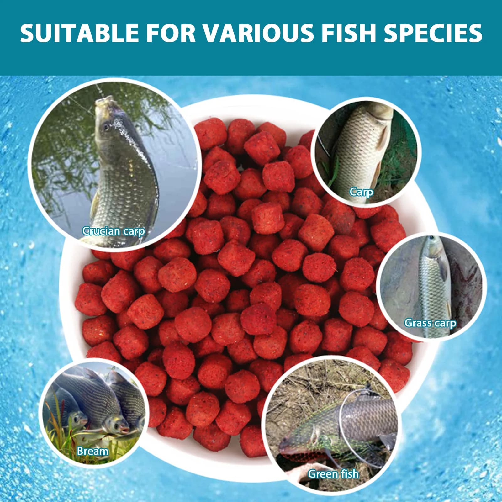 Appât humide granulé 40g protéiné - Concentré attractif poisson pêche accessoires leurres frais
