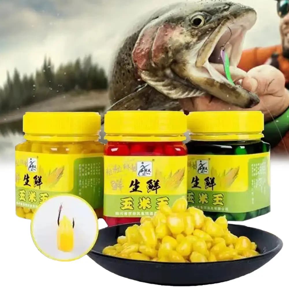Appât 180g maïs frais pour carpe herbivore et amour noir - Pêche lac et réservoir