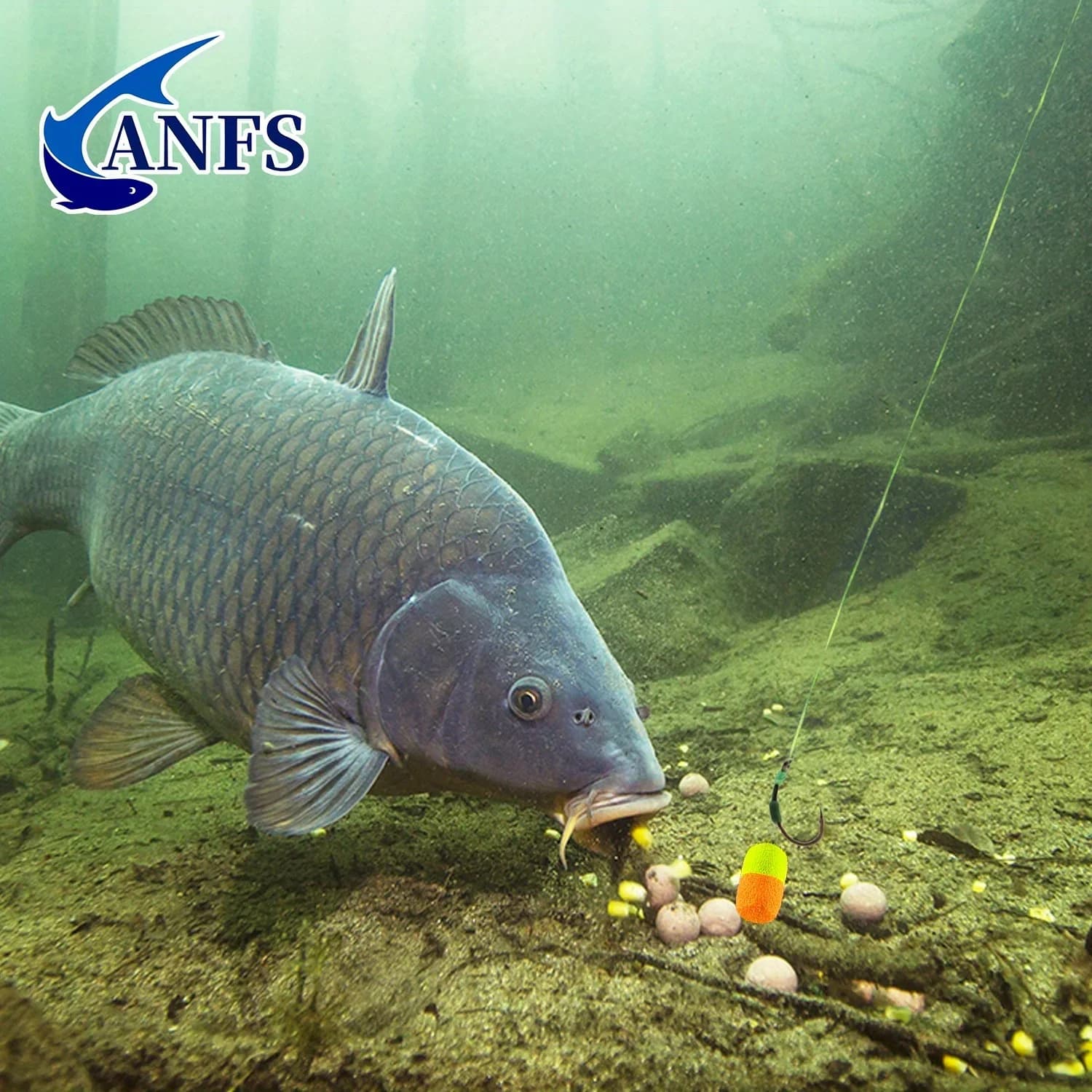Boilies pop-up double couleur ANFS 15 pièces - appâts flottants pour pêche carpe au hair rig