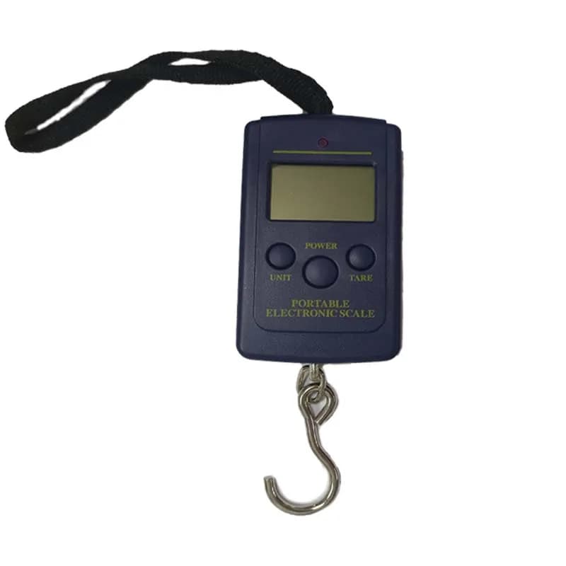 Balance digitale 40kg/10g mini pour pêche et cuisine - Pèse-bagages voyage avec crochet électronique