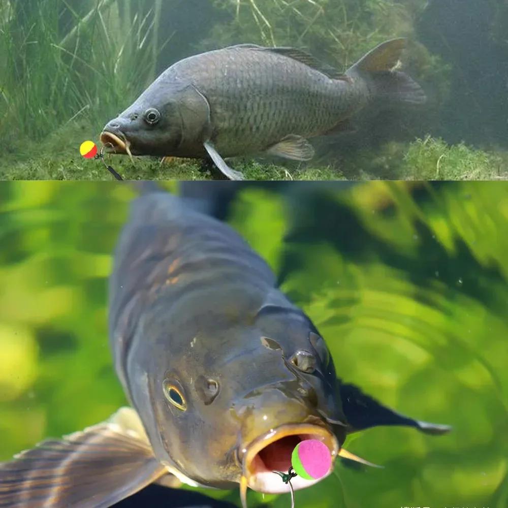 14 pop up boilies carpe 10-14mm - boules de mousse inversées pour pêche au fond et method feeder