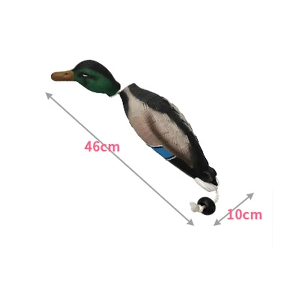 Leurre canard EVA résistant pour chien de chasse - Canard leurre d'entraînement mâle tête verte