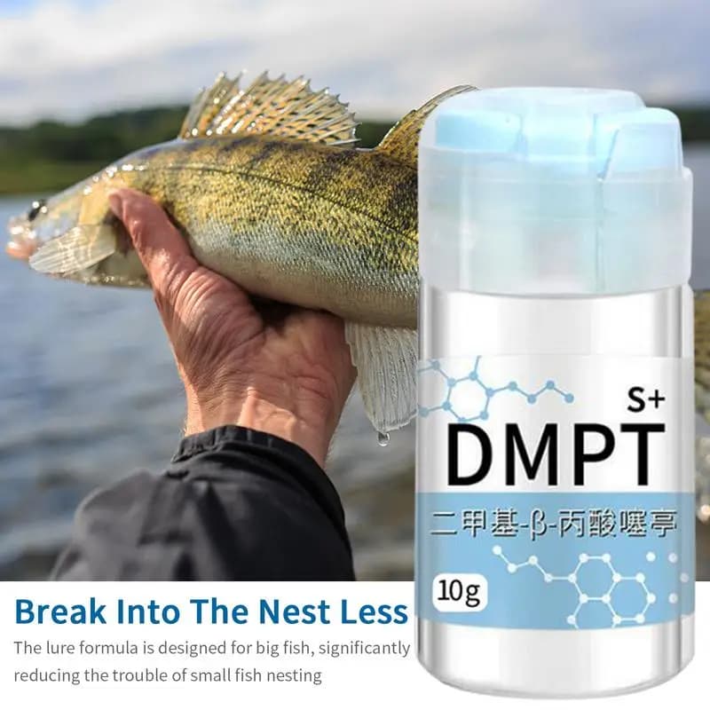 Appât DMPT gel attractif irrésistible soluble pour carpe cruciane poudre additif leurre pêche