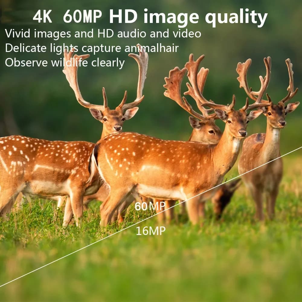 Caméra de chasse PR1600 60MP WIFI 4K vision nocturne infrarouge étanche pour piège photo animalier