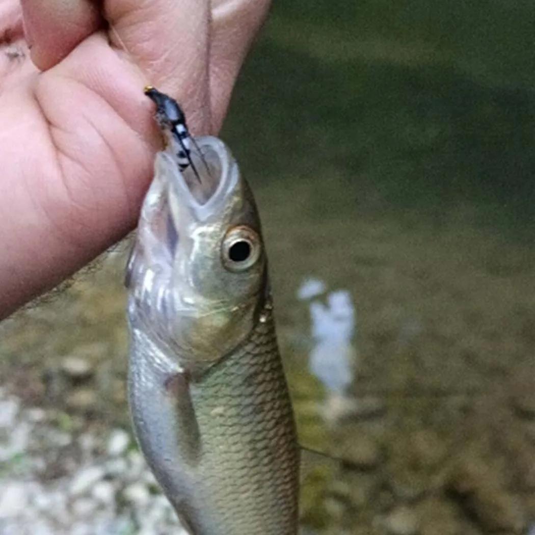 Mouches artificielles réalistes 5 pièces - Leurres bioniques pour truite, black-bass et carpe