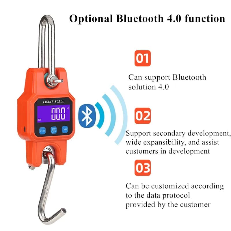Balance électronique Bluetooth 300kg 50g - Pèse-brochet portable rechargeable