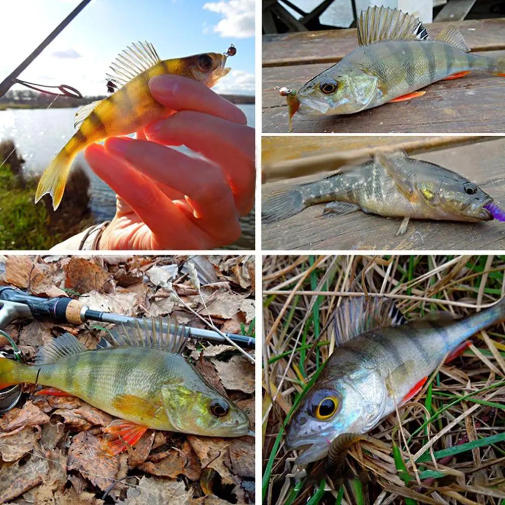 Plombs de pêche plombées tête jig 1g à 12g pour leurres souples aggraver hameçon accessoires