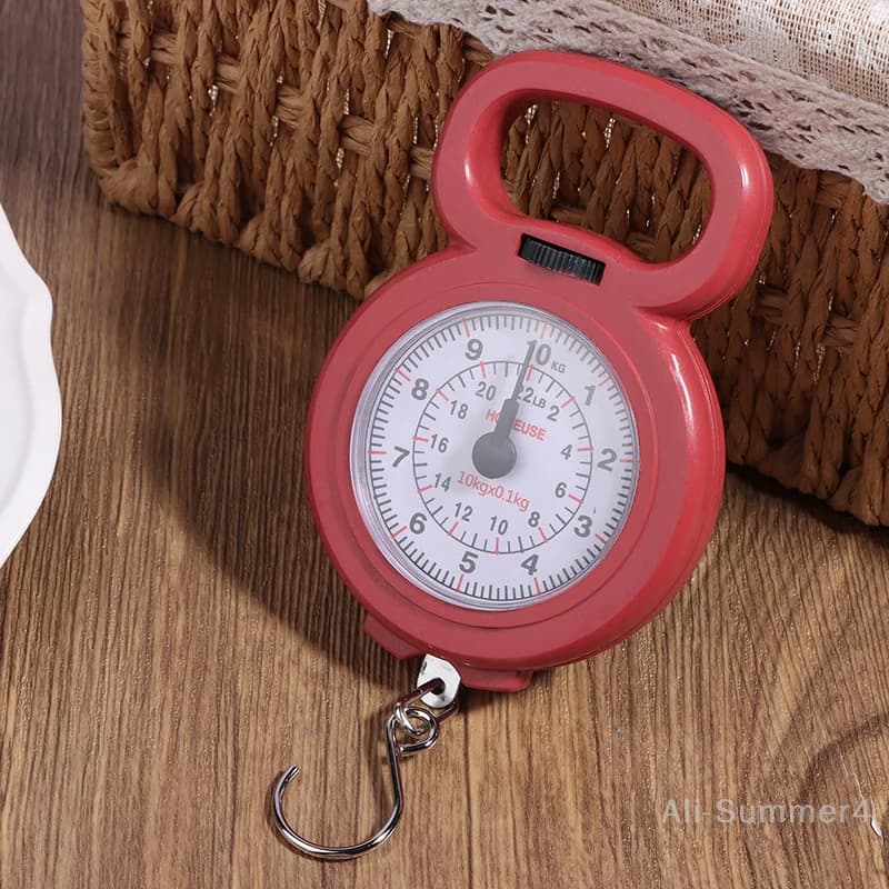 Mini Pointers Hook Spring Hanging Scale Portable Fishing Scale 10kg Capacity Foo