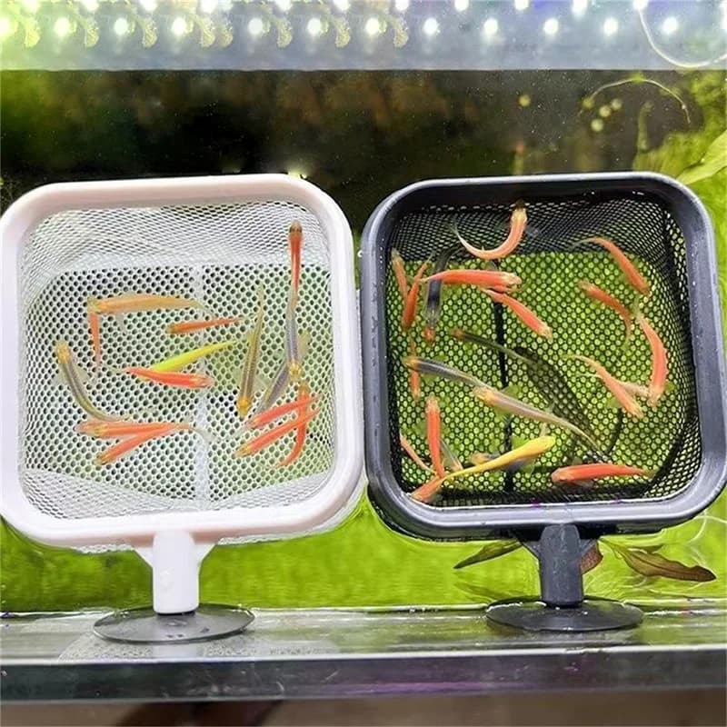 Épuisette aquarium en acier inoxydable rétractable - Accessoire nettoyage pour bassin à poissons et crevettes