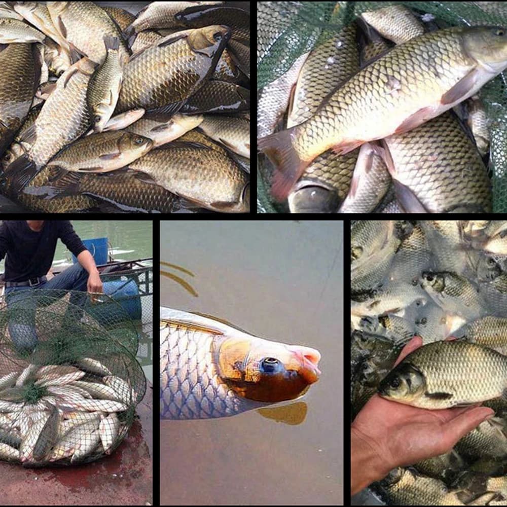 Appât atomisé creux pour carpe argentée - Additif puffed pour crucian et carpe overlure