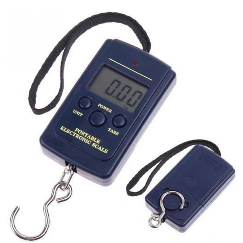 Balance digitale de pêche mini 40kg précision 10g pour peser poissons bagages cuisine crochet électronique
