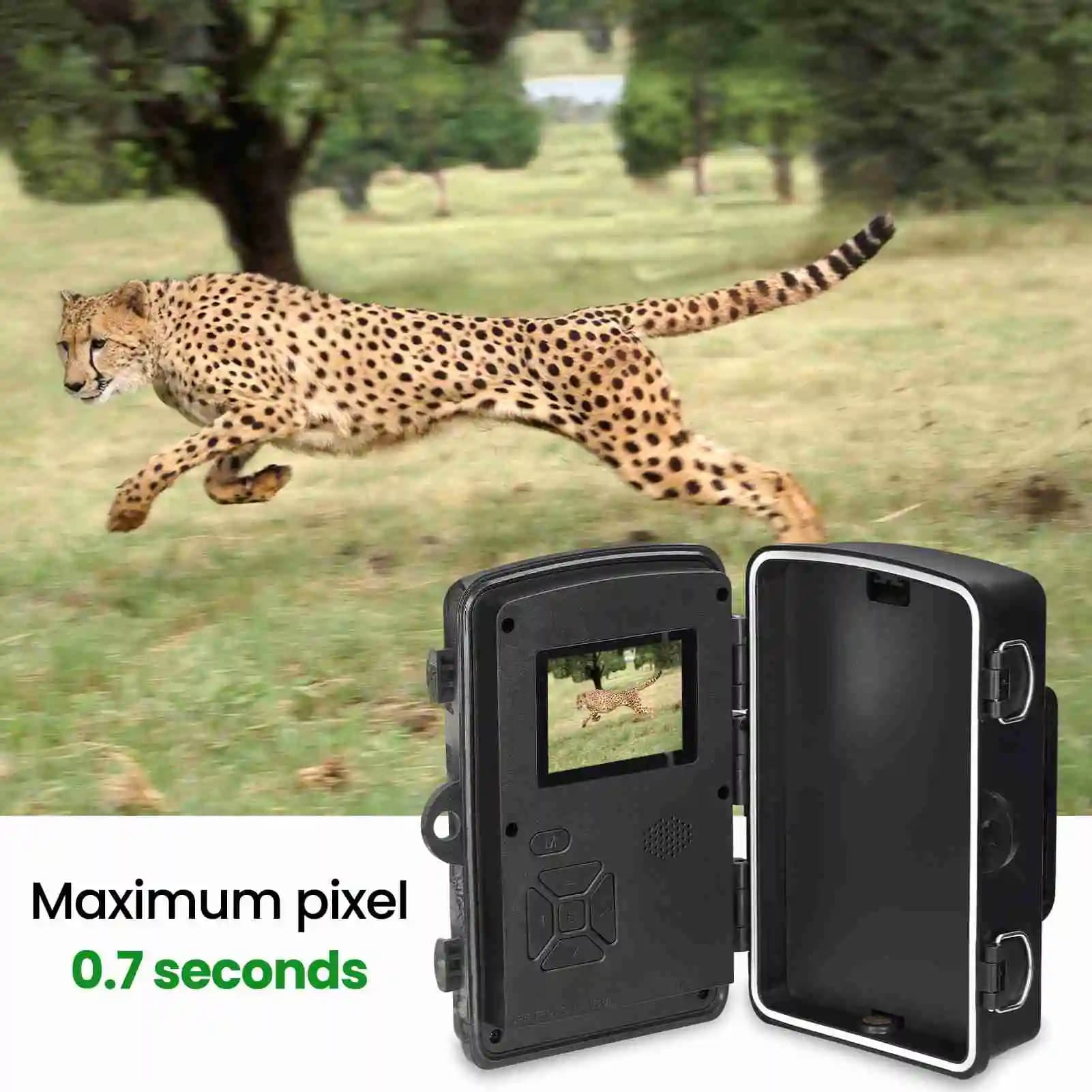 Caméra trail étanche IP66 2.0 pouces 1080P 16MP pour surveillance ferme observation champ pêche