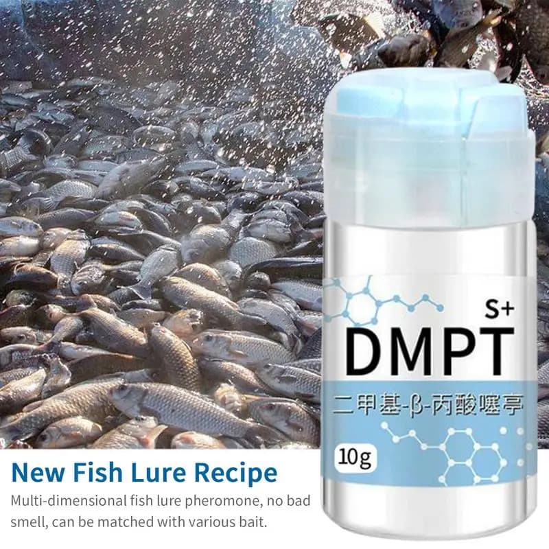 Gel attractant puissant longue durée pour appâts de pêche - Senteur naturelle soluble pour crevettes, carpes et tilapias