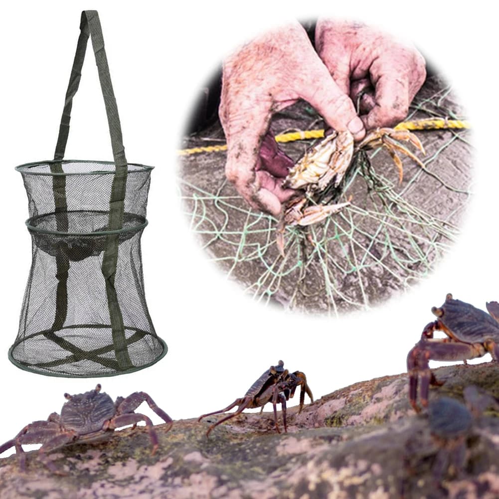 Filet de pêche pliable en forme de cage ronde, épuisette de débarquement pliante pour accessoires pêche