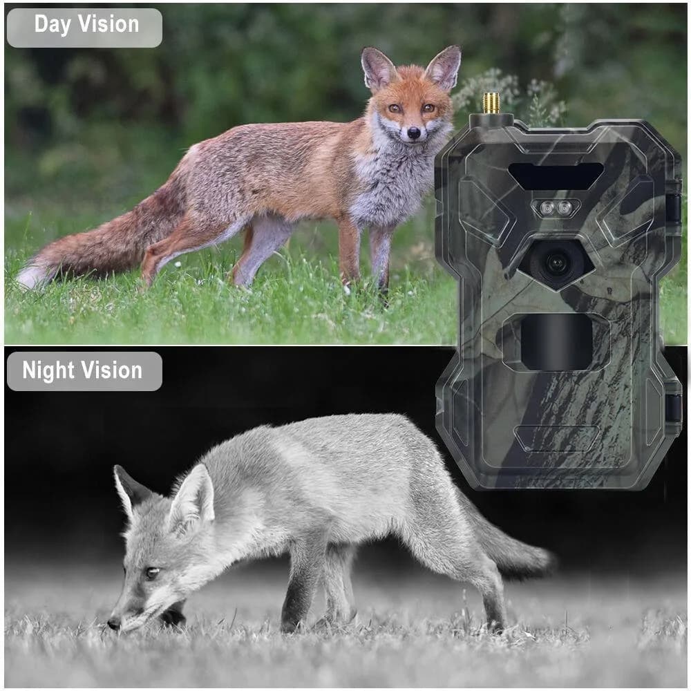 Caméra de chasse Suntekcam HC-880Pro 4G LTE 30MP étanche IP65 avec streaming live 2K et service cloud