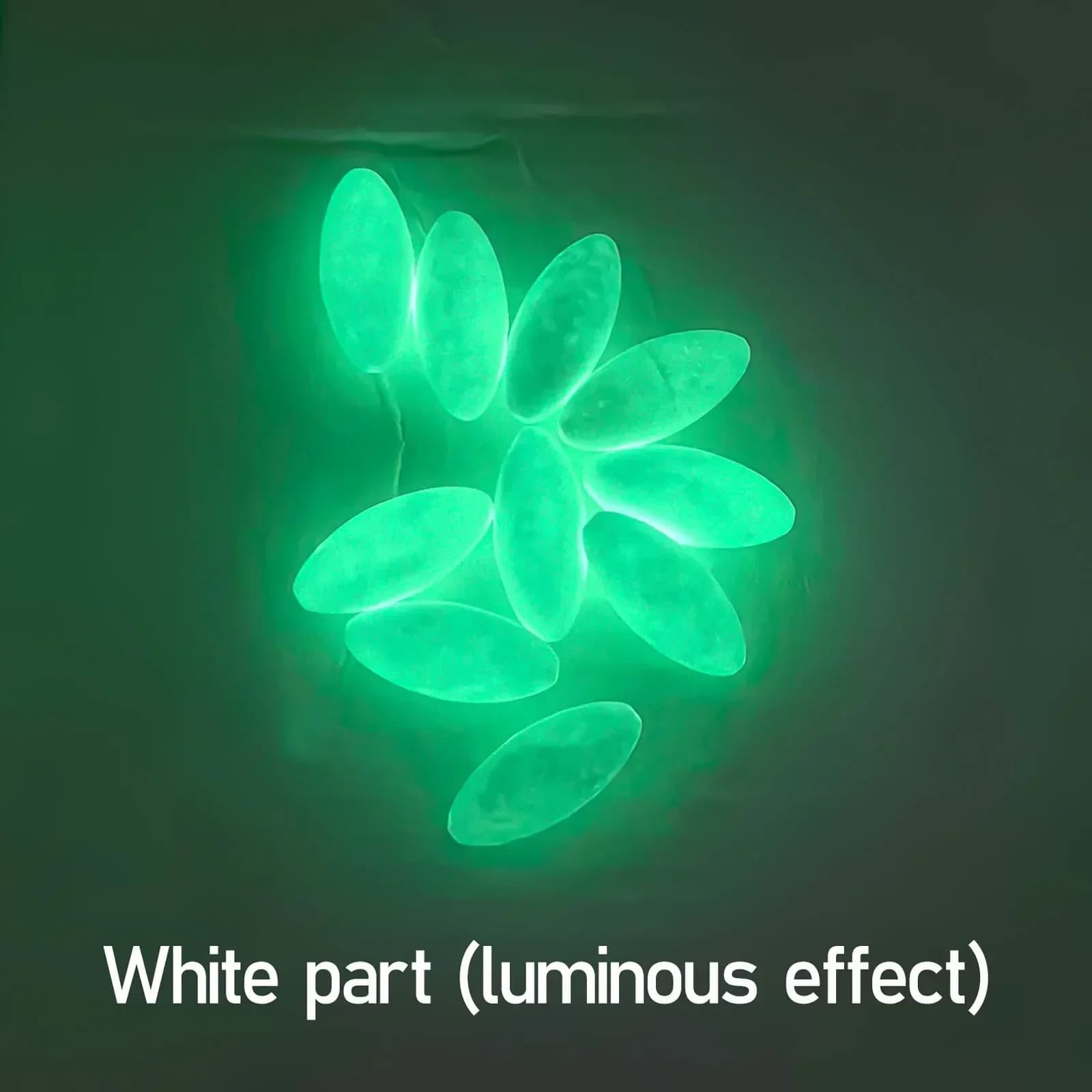 Flotteur ovale Topranc luminescent pêche mer et eau douce appât leurre pêche à la ligne