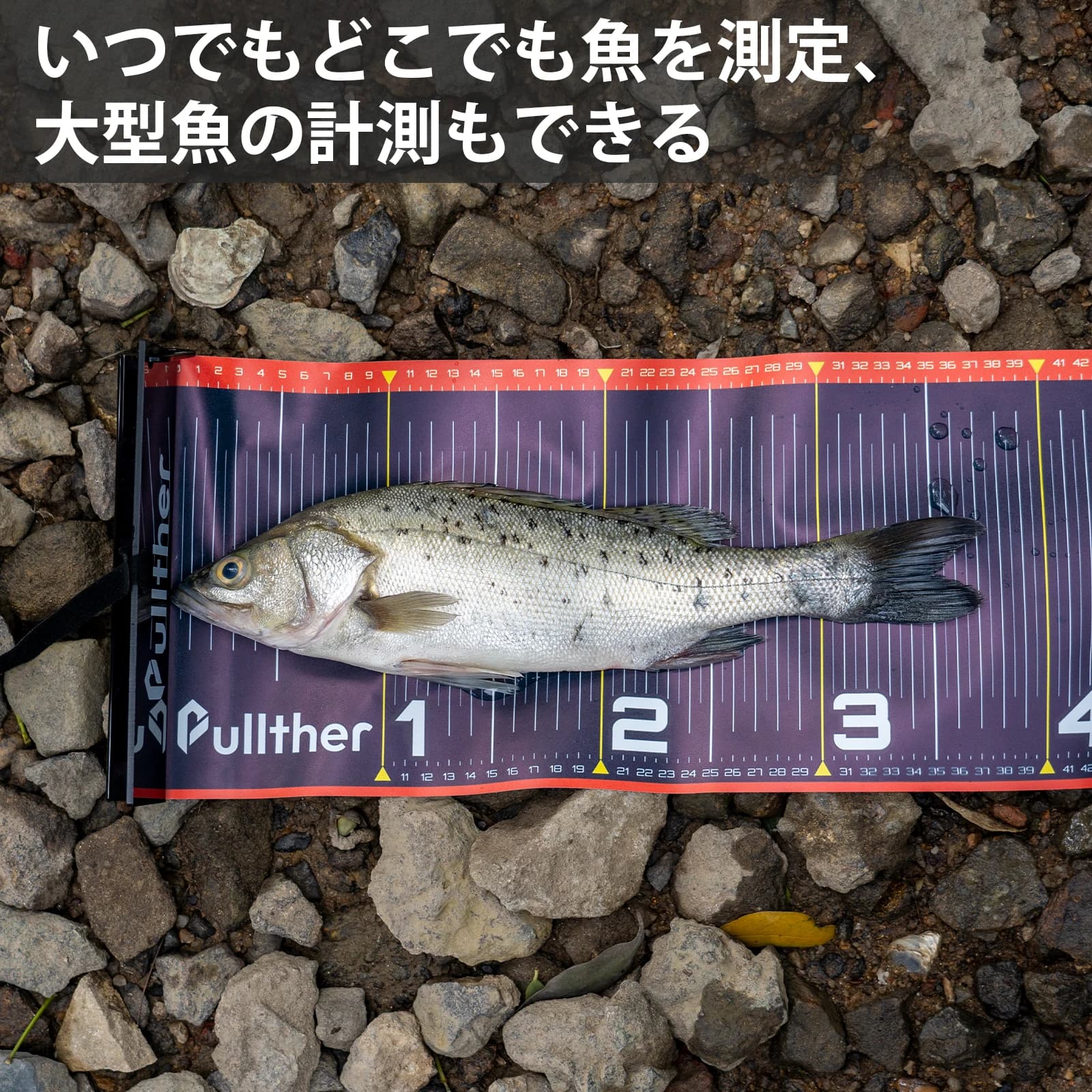 Règle à poisson pliable Pullther 135cm étanche - Mètre ruban adhésif pour mesurer vos prises de pêche