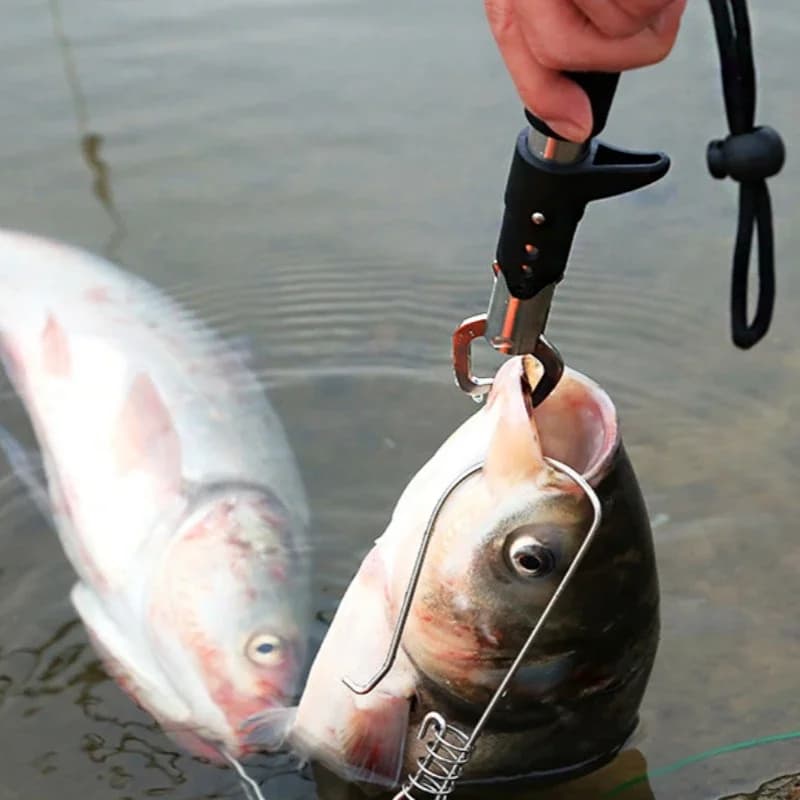 Contrôleur à poisson avec balance et règle - Pêche pince grip clip acier inoxydable