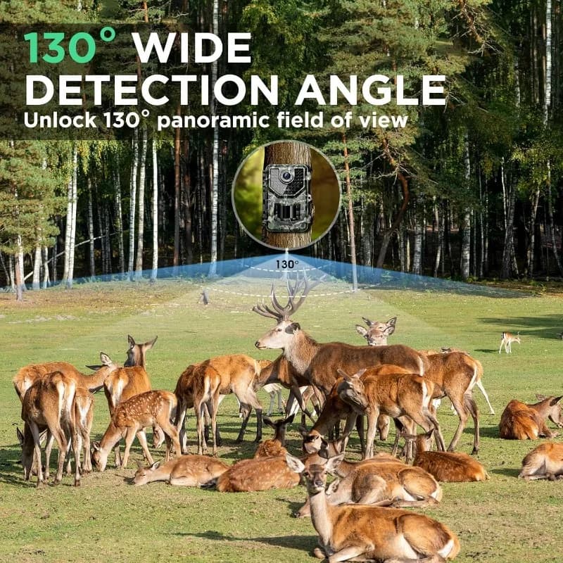 Caméra de chasse SunTekCam 50MP 4K vision nocturne IP66 étanche piège photo 0.2s déclenchement rapide