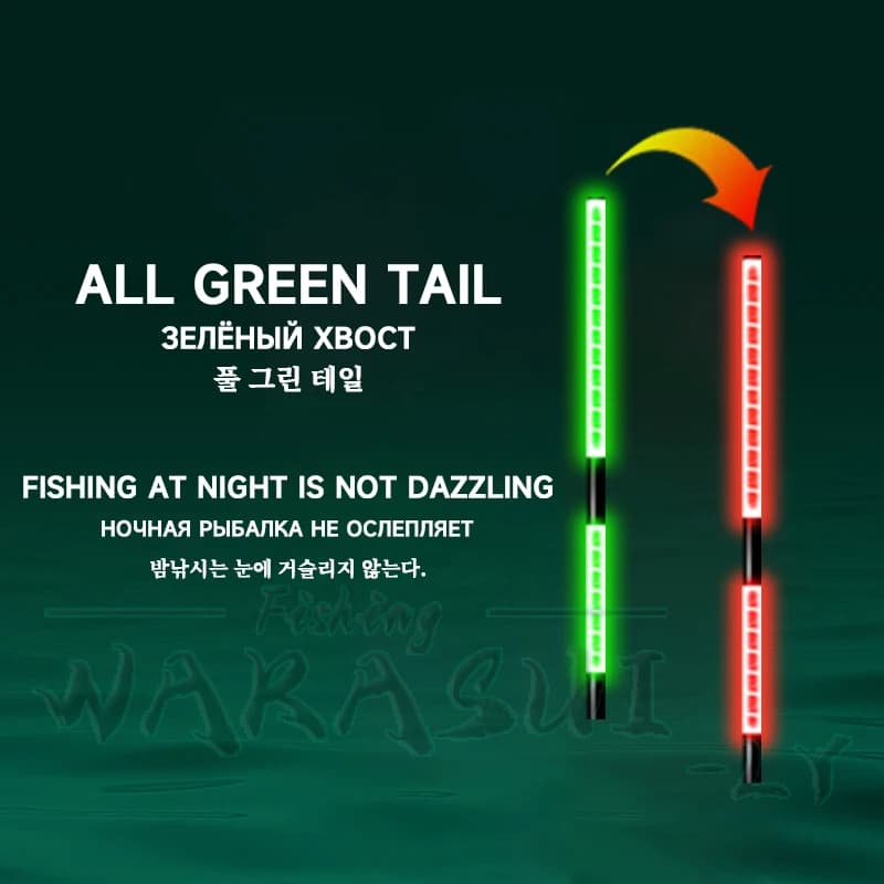 Set de 2 flotteurs électroniques LED haute sensibilité vert et rouge pour la pêche de nuit 2024