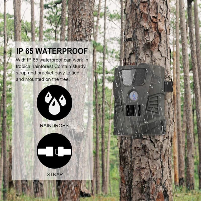 Caméra trail 12MP 1080P étanche IP65 pour observation faune chasse pistage animaux sauvages