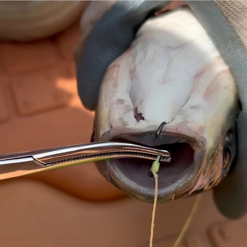 Pince pêche extracteur hameçon 1-2 pièces - Matériel décrochage poisson contrôle