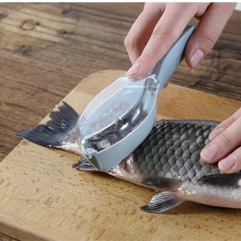 Racleur à écailles de poisson manuel avec couvercle, pour nettoyer et entretenir votre matériel de pêche