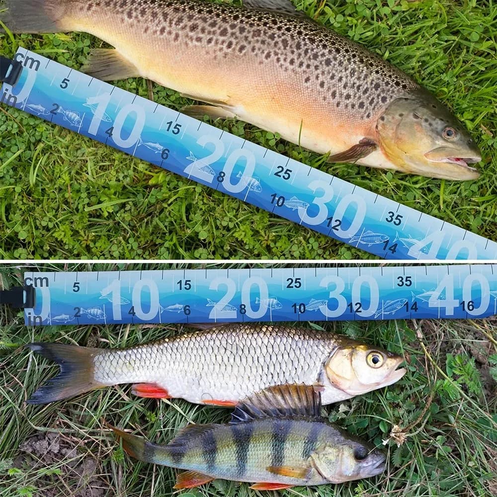 Mètre ruban pliable étanche 90cm pour mesurer les poissons accessoire pêche autocollant