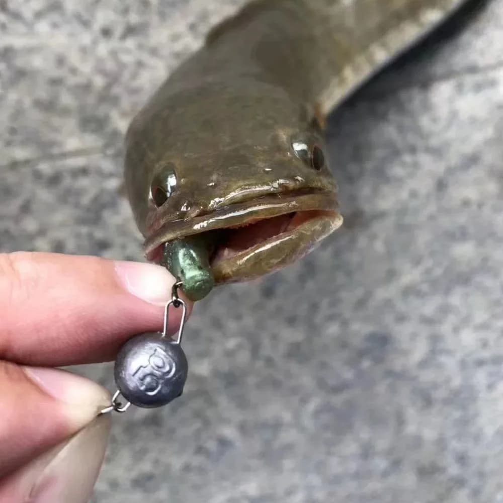 Lot de 5 plombs pêche de 2g à 28g avec émerillon pour pêche profonde et rocheuse