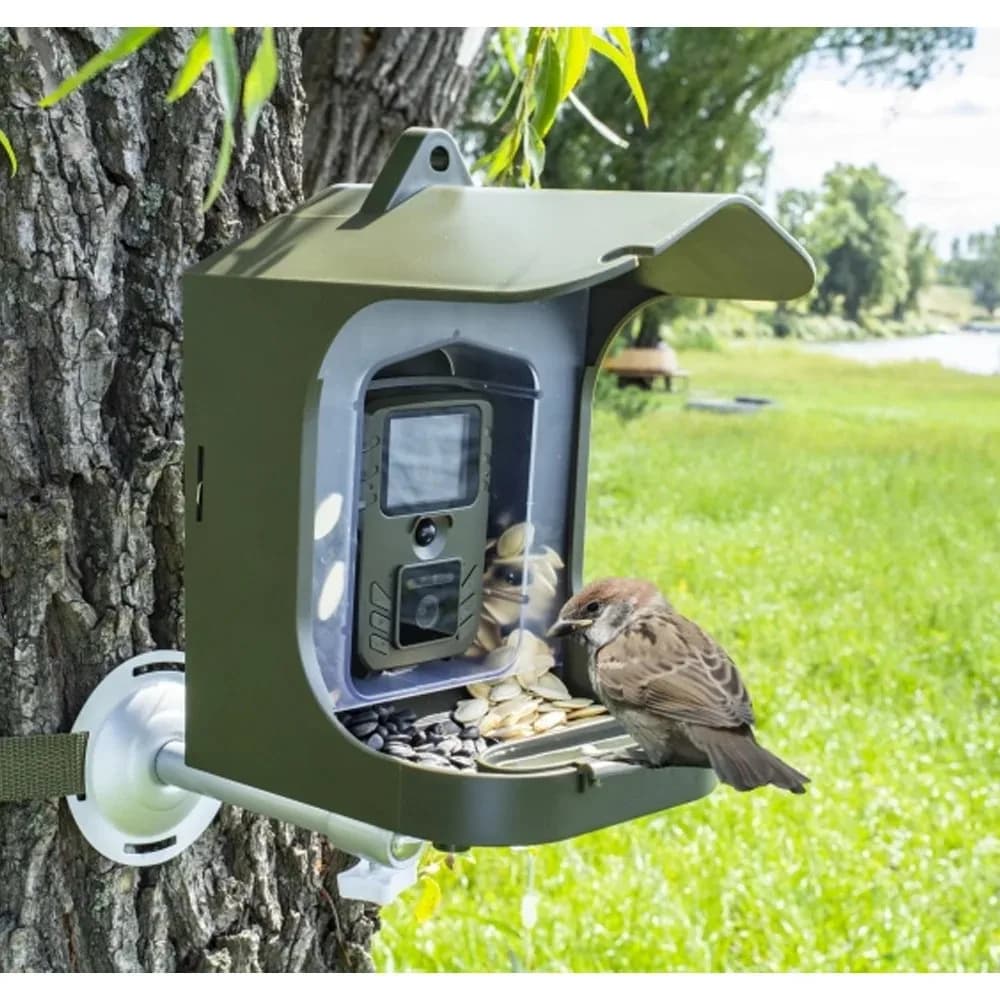 Mangeoire oiseaux avec caméra WIFI - Observation ornithologique transfert photos vidéos détection mouvement