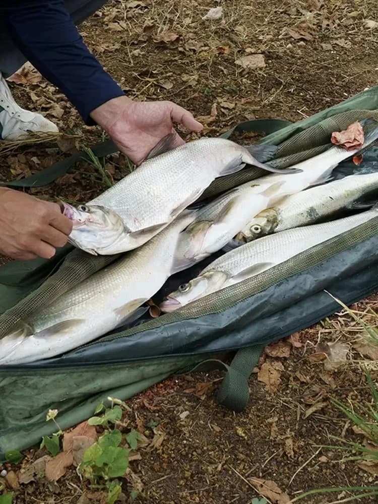 Filet de pesée pliable et tapis de protection pour peser et manipuler poissons en sécurité