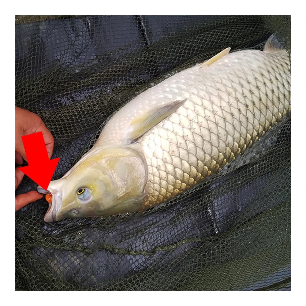 10 boilies pop-up multicolores pour pêche carpe - billes EVA flottantes et appâts aromatisés