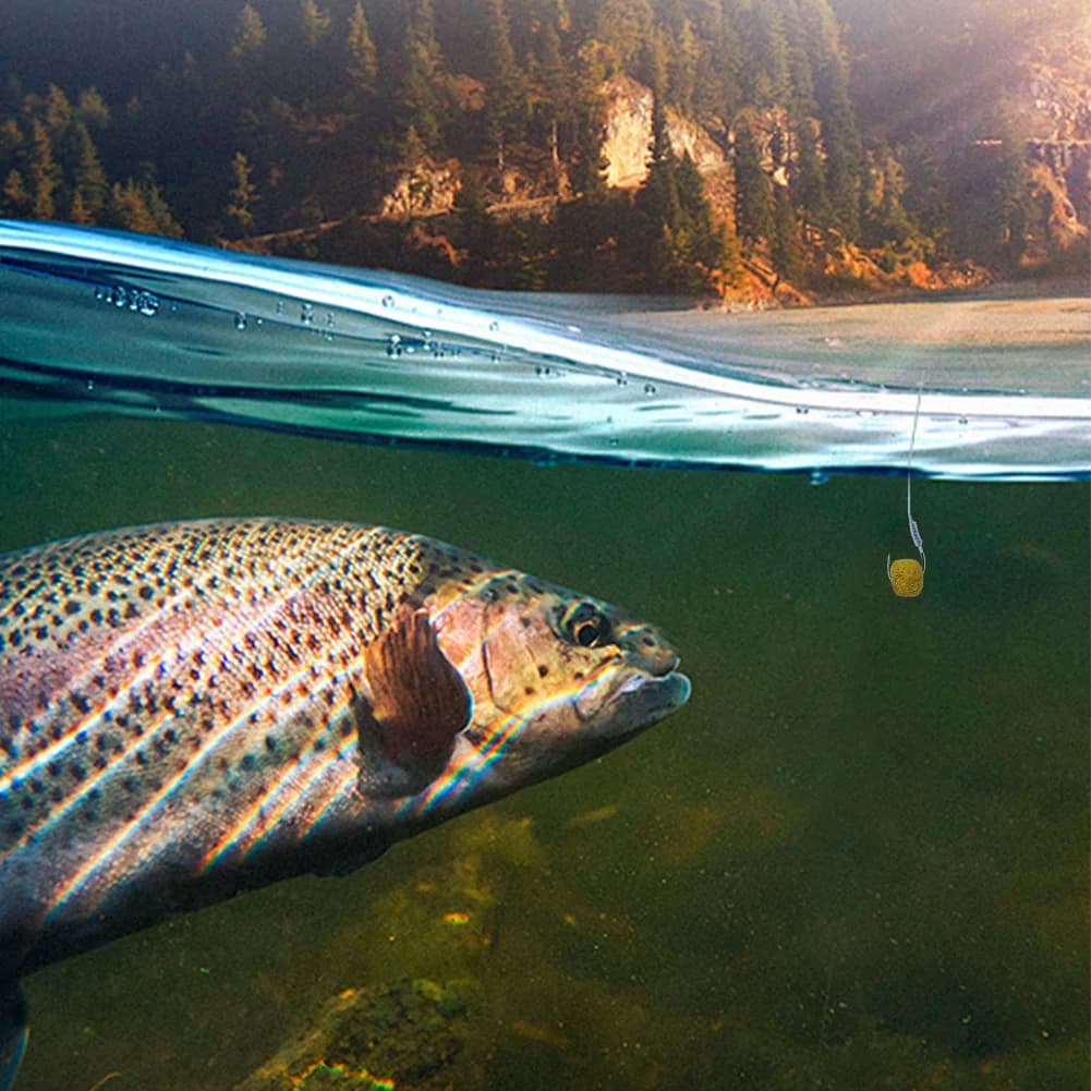 Appât granulé universel pour perche et silure - Pellets Hook Up avec odeur de ver rouge et poisson