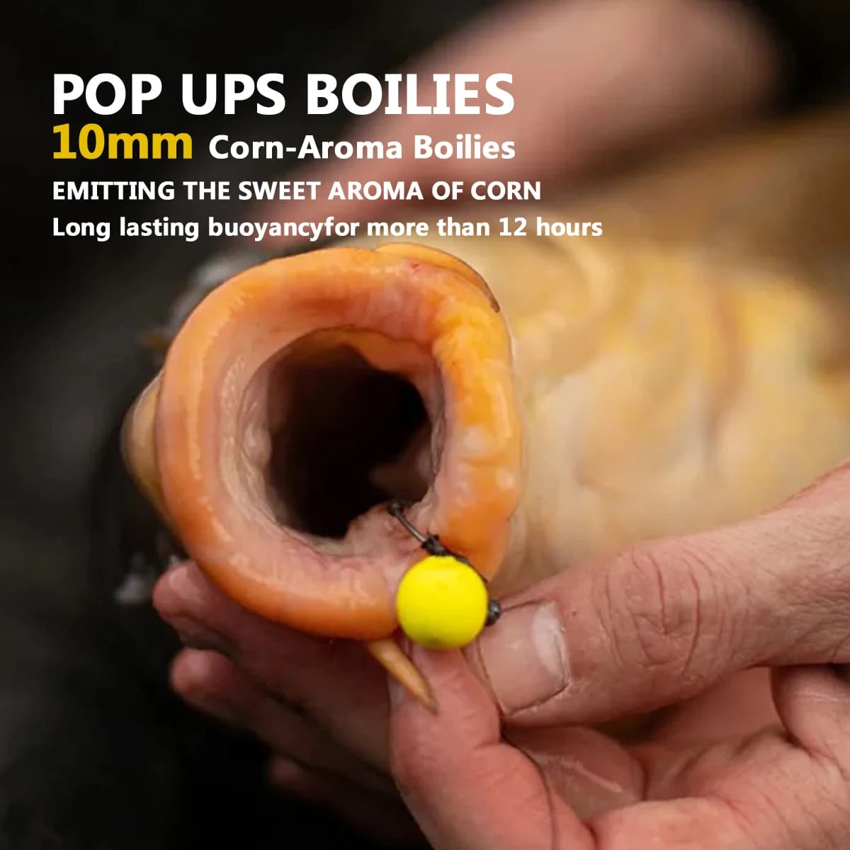 80 appâts pop-up maïs sucré jaune 10mm pour carpe et silure - Pêche printemps/été - Appâts flottants