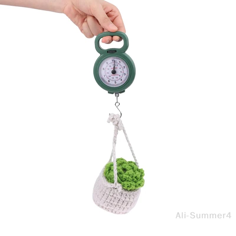Mini Pointers Hook Spring Hanging Scale Portable Fishing Scale 10kg Capacity Foo
