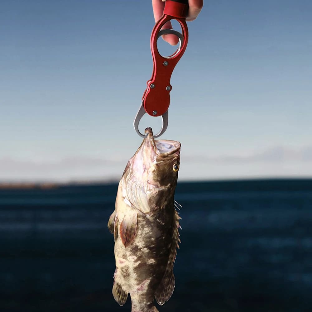 Pince à lèvres de poisson avec échelle et ligne - Outil professionnel pour pêcheurs experts