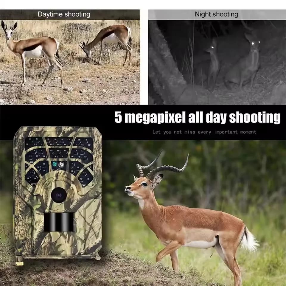 Caméra de chasse 20MP 1080P vision nocturne infrarouge 940nm détection mouvement piège photo faune