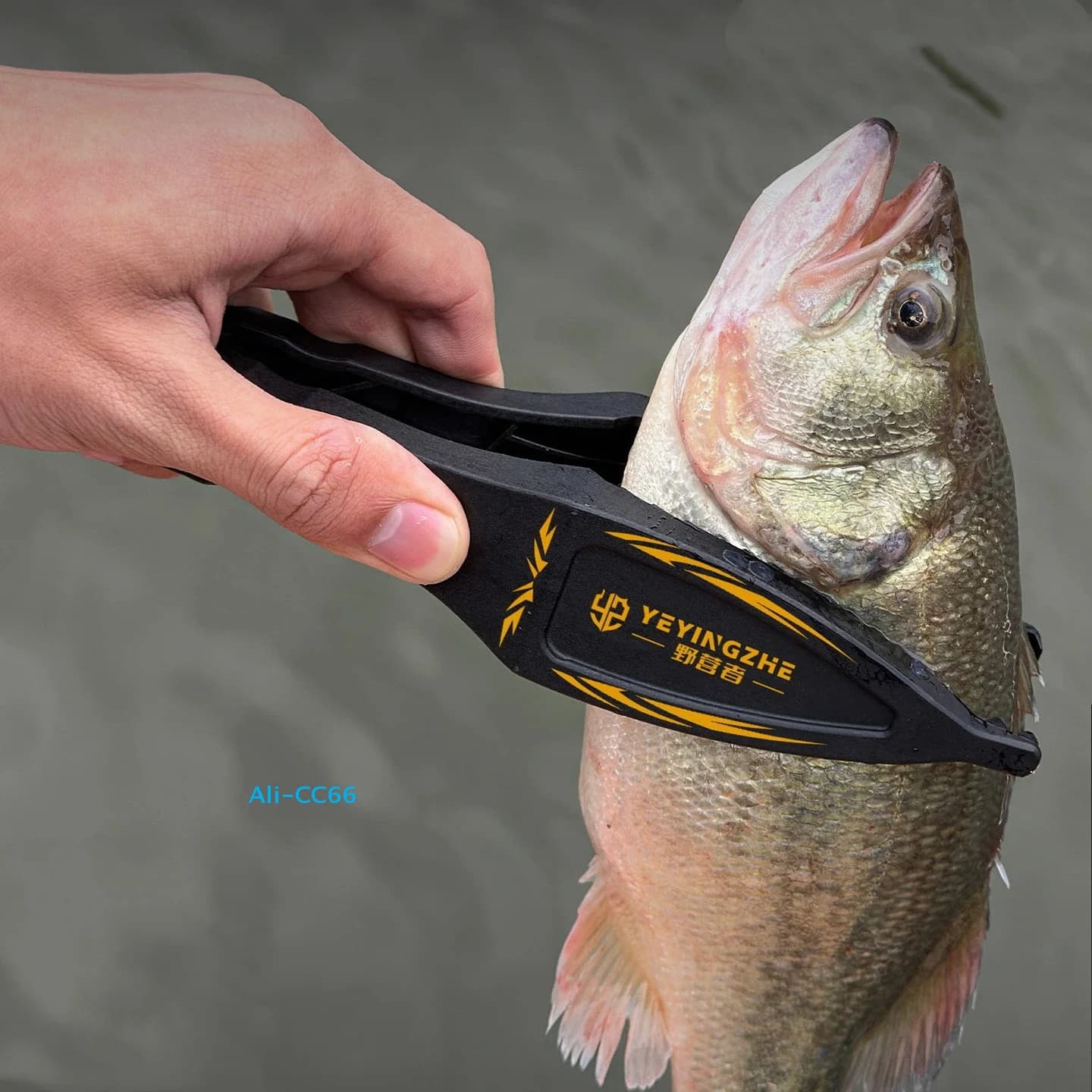 Attrape-poisson flottant avec pince à lèvres et balance - Outil complet pour pêcheur