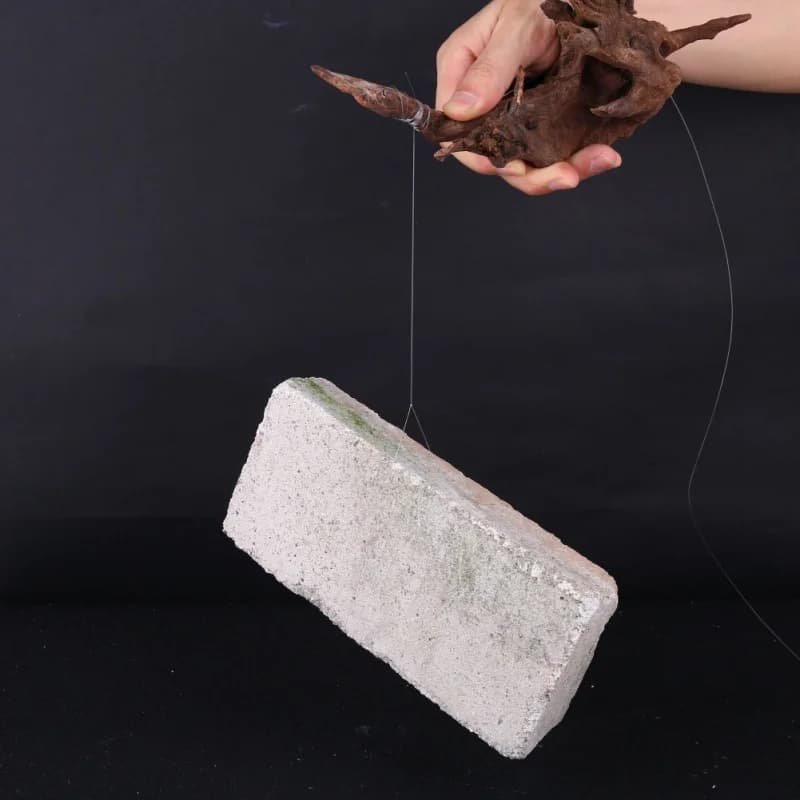 Ligne tressée fluorocarbone 300M-500M pour pêche à la mouche - Nylon japonais revêtu 3.8-21KG