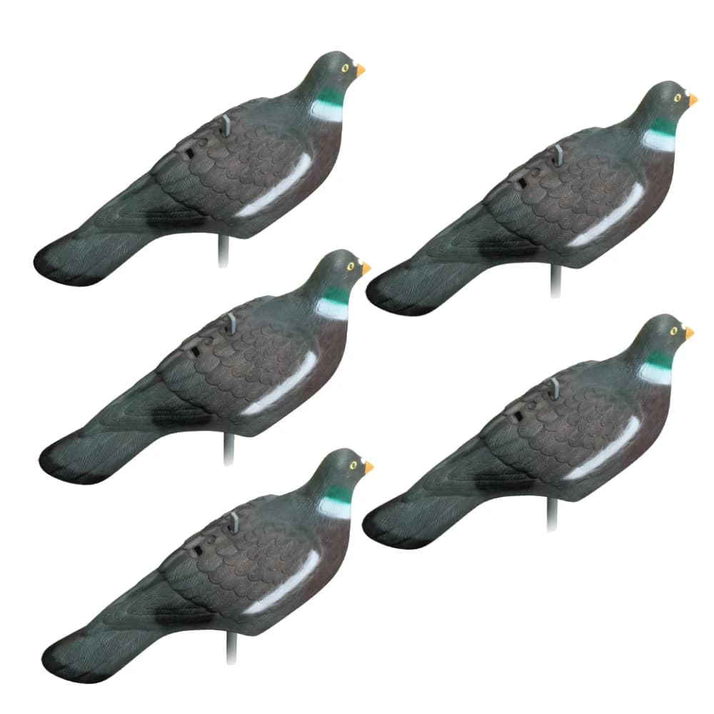 Leurres pigeons 3D peints réalistes 1/3/6 pièces pour entraînement tir et chasse