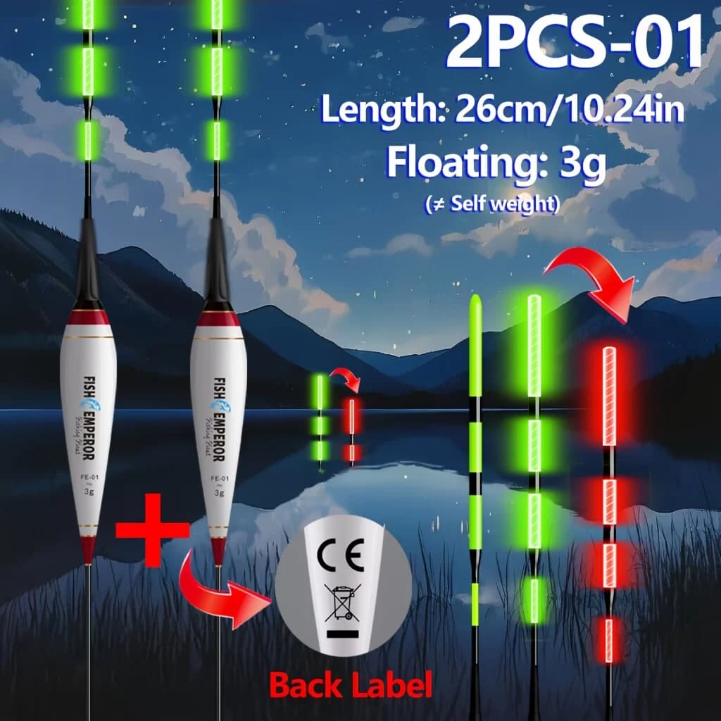 Float lumineux électronique 2 pièces couleur changeante pour pêche de la carpe et pêche au rock en Europe