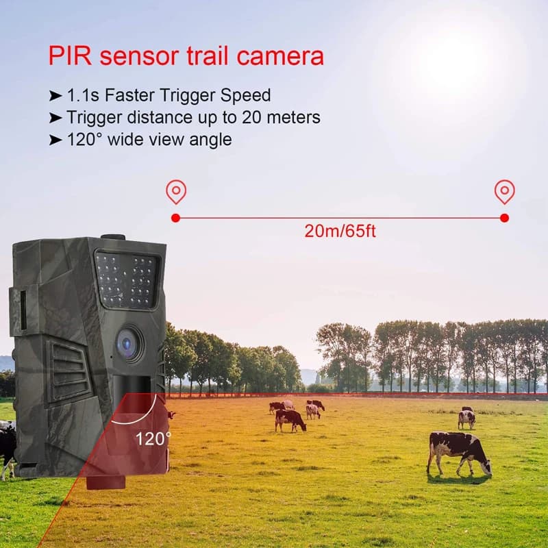 Caméra trail 12MP 1080P étanche IP65 pour observation faune chasse pistage animaux sauvages