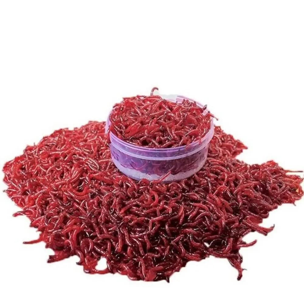 Poudre bloodworm 50g pour appâts carpe - additif naturel arôme ver de vase pour boillies