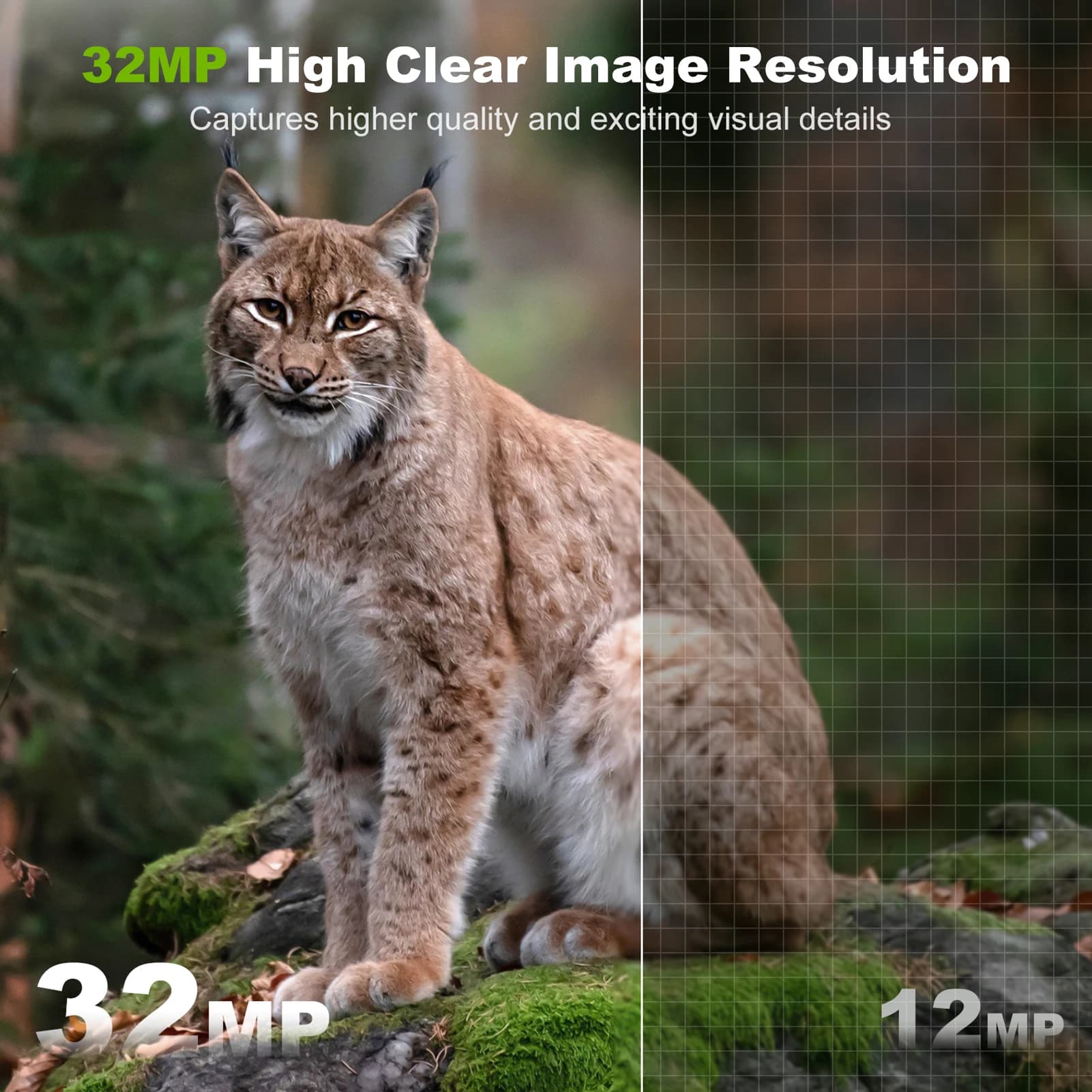 Caméra solaire sans fil WiFi 32MP vision nocturne IR - IP66 étanche pour chasse faune connectée