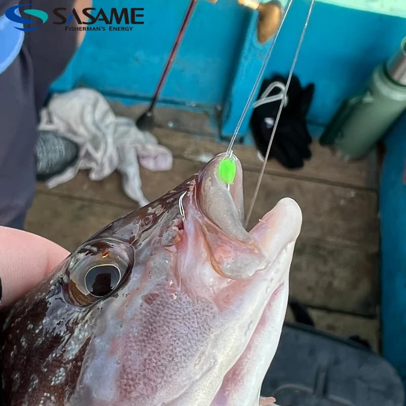 Montage Sabiki SASAME Japon fluorocarbone lumineux pour pêche mer accessoires matériel pêche côtière